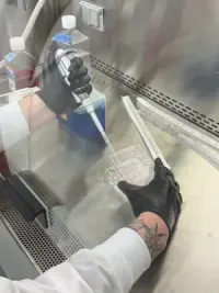 Researcher using a pipette to measure and transfer liquid